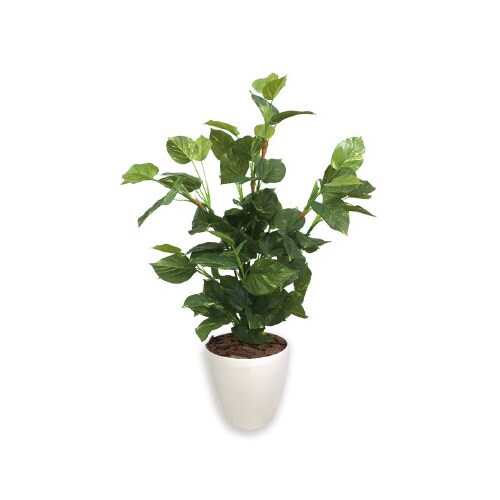 人工観葉植物マネーツリーLサイズ