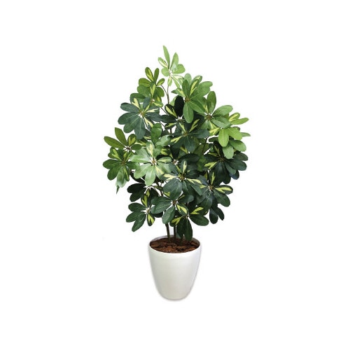 人工観葉植物シェフレラLサイズ