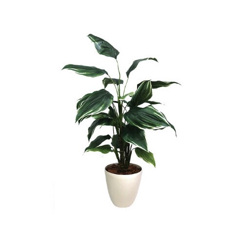 人工観葉植物ホスタLサイズ