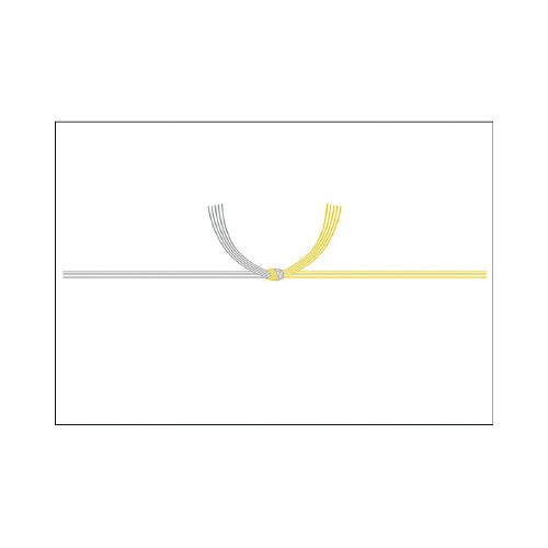 のし紙 みの判 黄水引 京