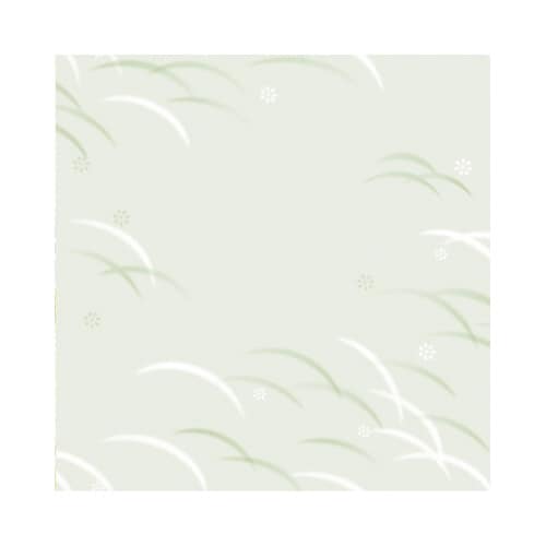 包装紙 偲び草 半才判 50枚