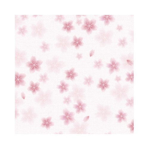 包装紙 和ごころ桜 全判 50枚