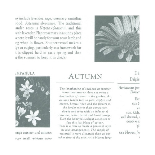 包装紙 カーディアングレー白 半才判