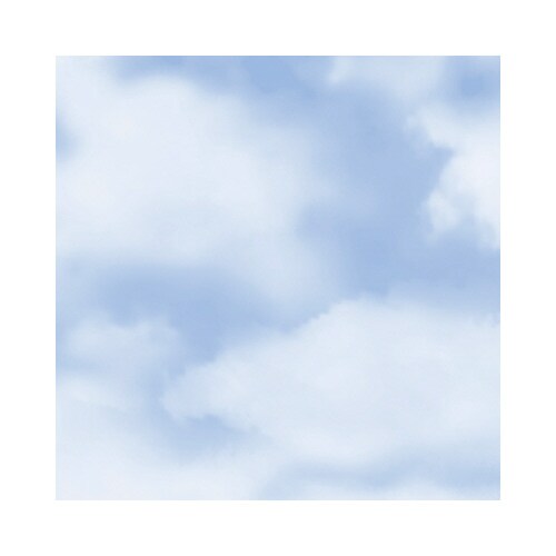 包装紙 クラウド ブルー 半才判