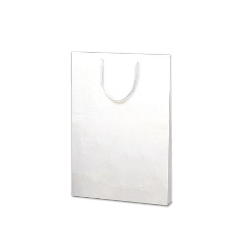 手提げ 額縁用 B4