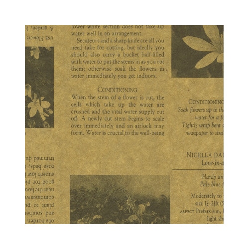 包装紙 カーディアングレー茶 半才判