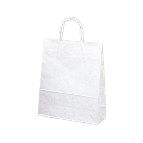手提げバッグ 10P白無地 小