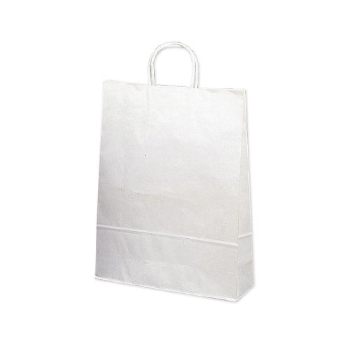 手提げバッグ 10P白無地 大