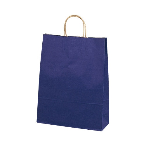 手提げバッグ 10Pマリン 大