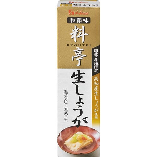料亭しょうが 31g 10個×2
