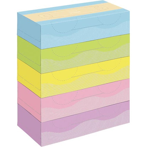 横から取り出せるBティシュ160組×60箱5梱以上