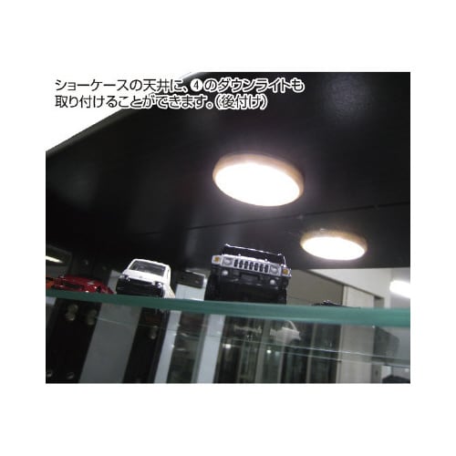 ショーケース イーストLEDダウンライト