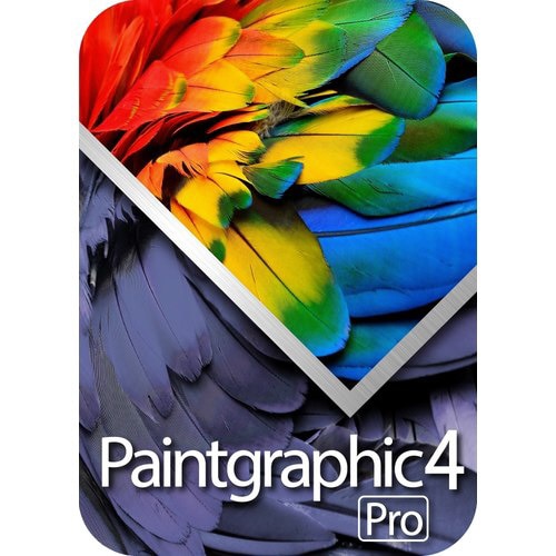 Paintgraphic 4 Pro