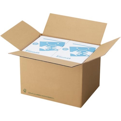 FSC無地ダンボール No.3−3 10枚×9