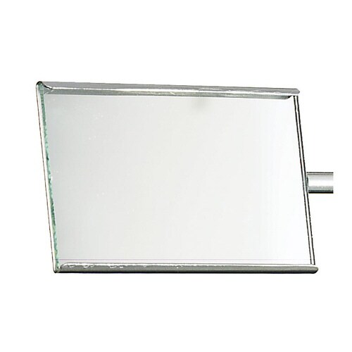 替ミラーステンレス