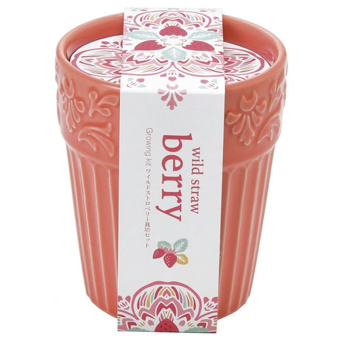 ボタニカルポット ストロベリー GD−90401