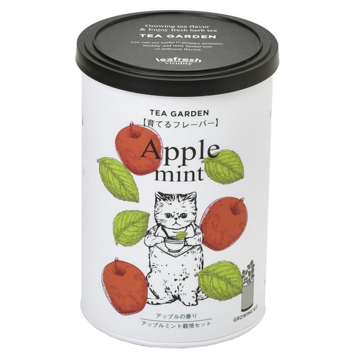育てるフレーバー アップルミント GD−90501