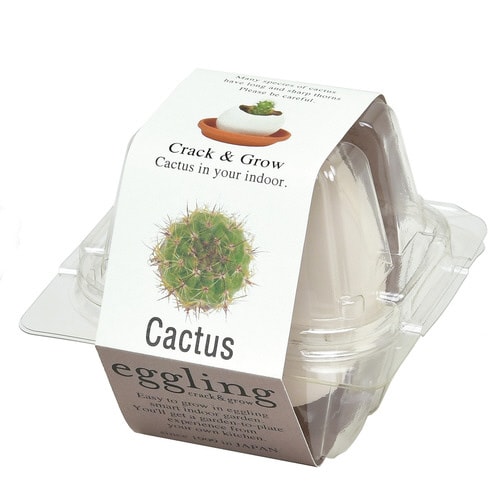 エッグリング カクタス EG−5703