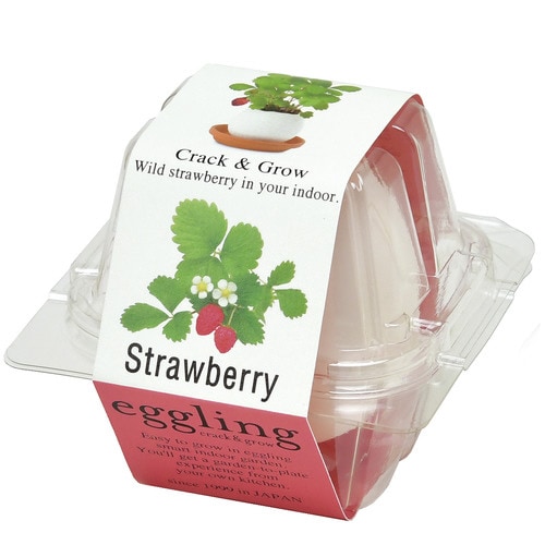 エッグリング ストロベリー EG−5704