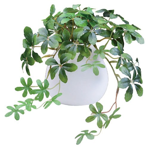 グリーンMRポット(光触媒) シュガーバイン