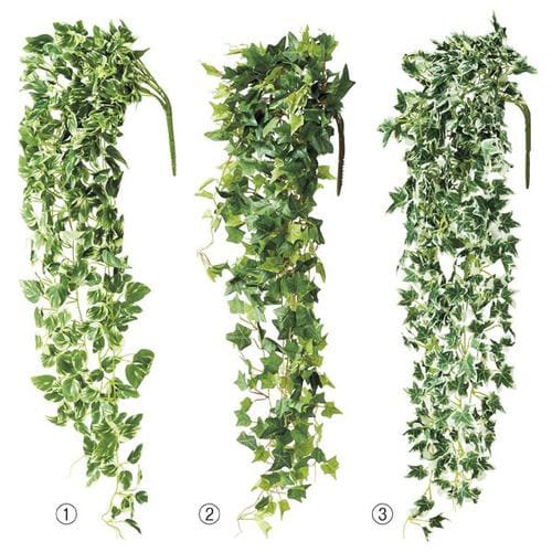 グリーンスワッグ ポトスベイン