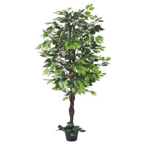 人工樹木H150cm ベンジャミングリーン