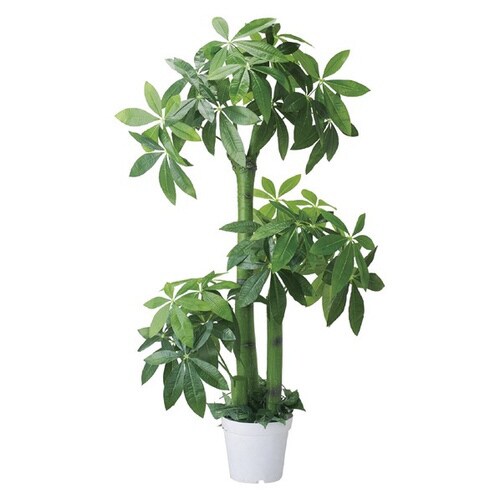 人工樹木 H150cm パキラ