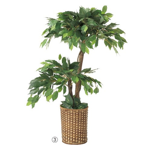 人工樹木 ベンジャミン ダブル