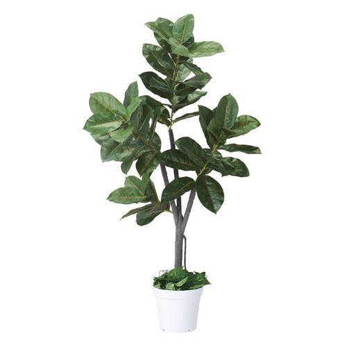 人工樹木 H150cm ゴムの木