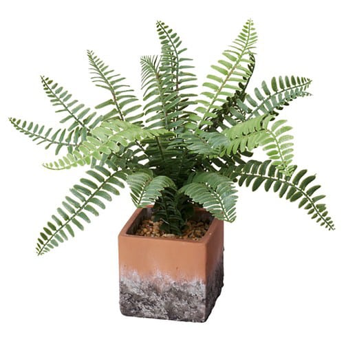 フェイク フォリージ スタンド スクエア ツデー