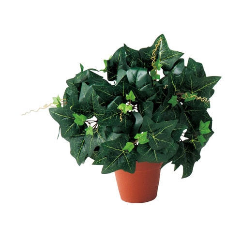 グリーンブッシュポット ポット