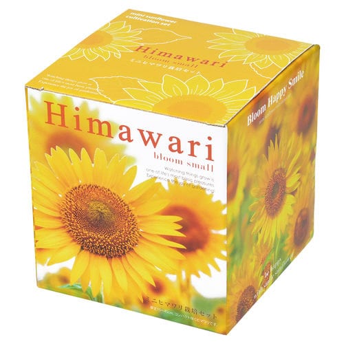 ミニヒマワリ栽培セット GD−753