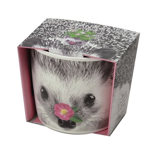 ハナ&アニマルズ ハリネズミ ミニバラ