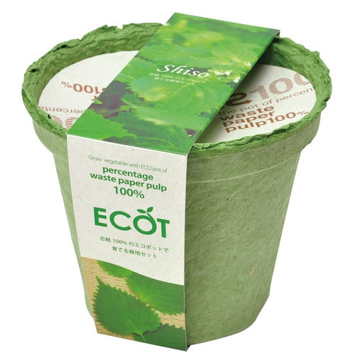 エコット M 青ジソ GD−41105