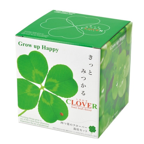 みつかる四葉クローバー栽培セット GD−592