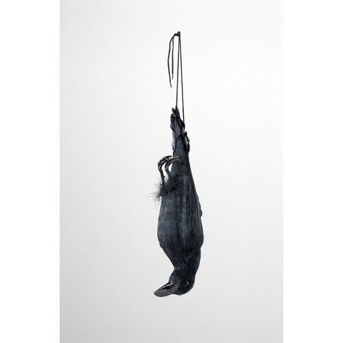 イヤガラス ブラック