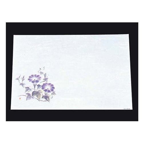 尺三抗菌遠赤和紙(100枚入)WS−16