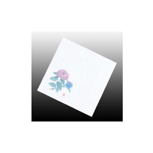 盛彩5寸(100枚入)NS−103