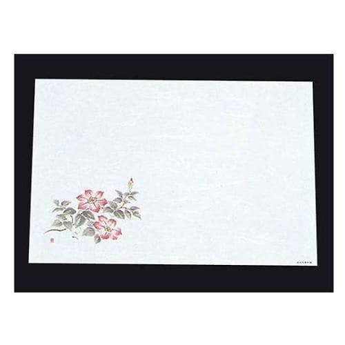 尺三抗菌遠赤和紙(100枚入)WS−12