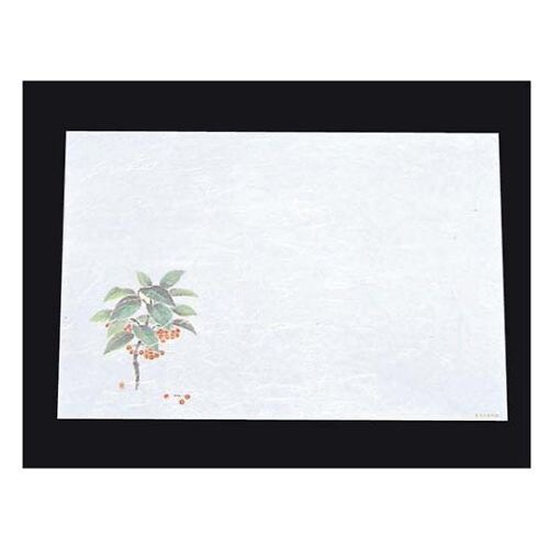 尺三抗菌遠赤和紙(100枚入)WS−6