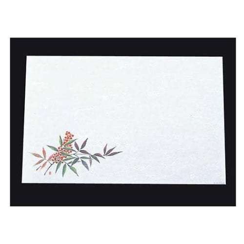 尺三抗菌遠赤和紙(100枚入)WS−4