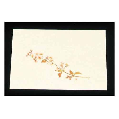 尺三クリーム(100枚入)WSS−4