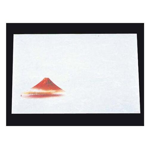 尺三抗菌遠赤和紙(100枚入)WS−1