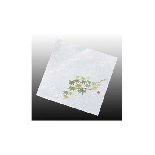 盛彩4寸(100枚入)NS−19