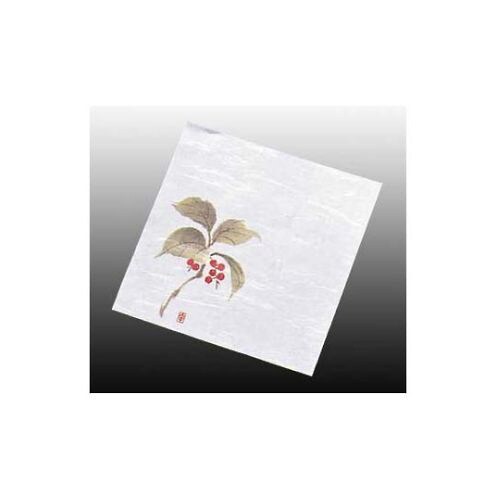 盛彩4寸(100枚入)NS−15