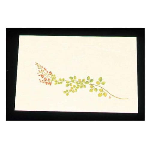 尺三クリーム(100枚入)WSS−11