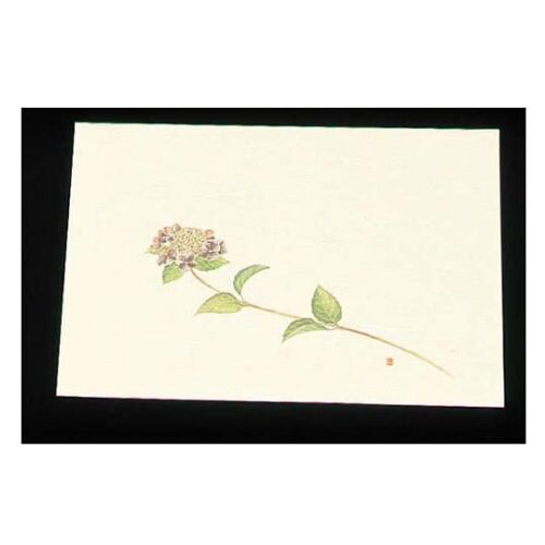 尺三クリーム(100枚入)WSS−6