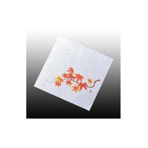 盛彩5寸(100枚入)NS−14