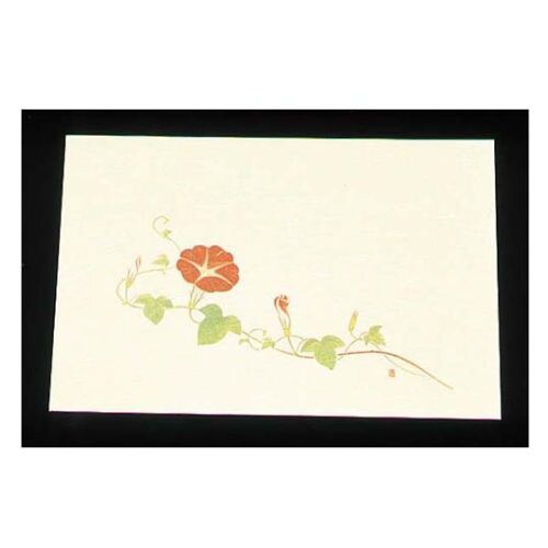 尺三クリーム(100枚入)WSS−10