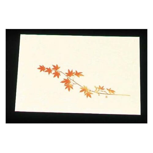 尺三クリーム(100枚入)WSS−12